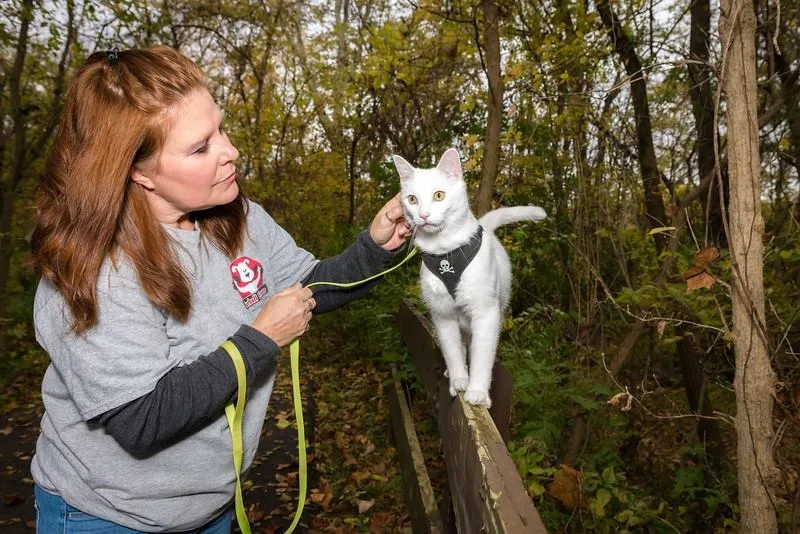 Furball Fitness Dog Walking & Pet Care